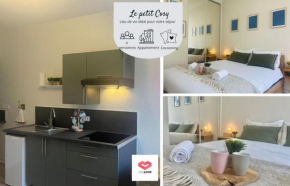 Le Petit Cosy - T2 en hypercentre, parking privé